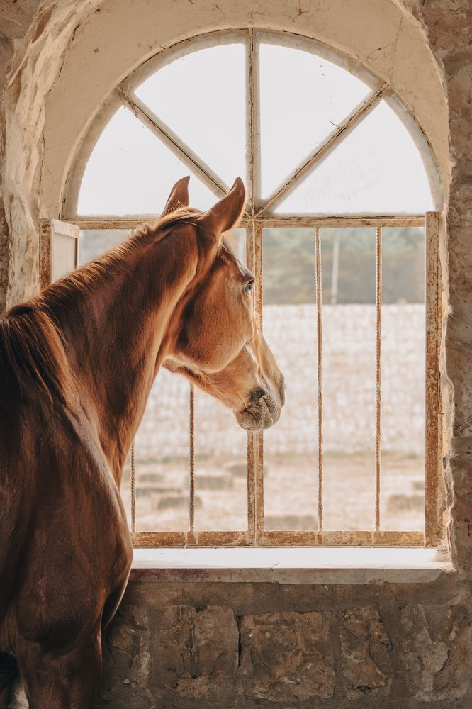 Photograph by Gevork Gukasyan