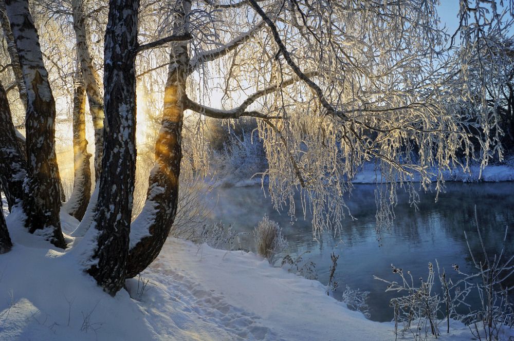 Photograph by Мишустина Татьяна