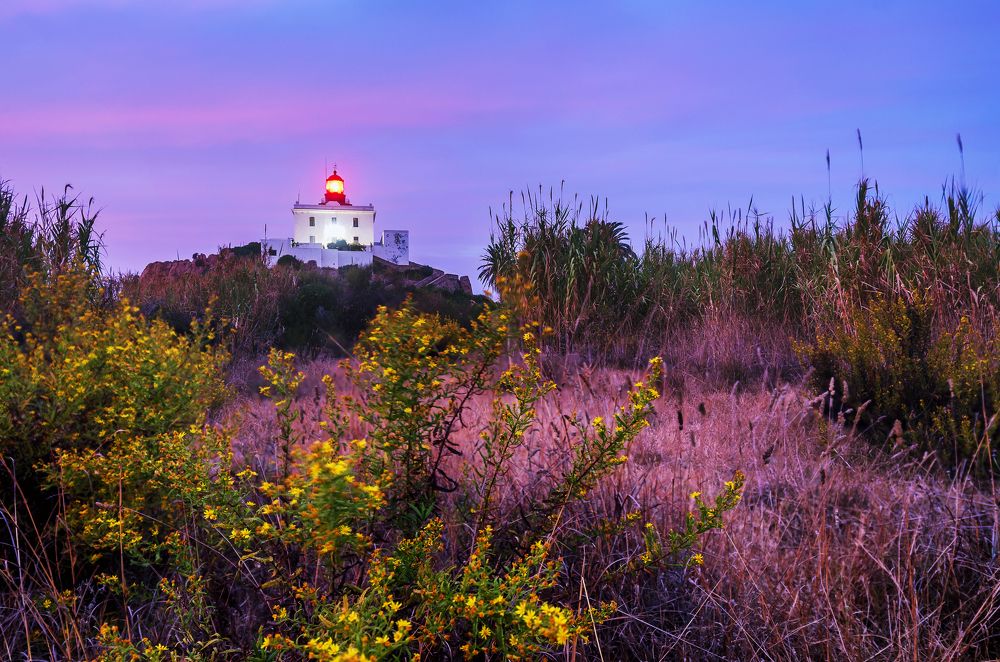 Photograph by Noureddine Belfethi