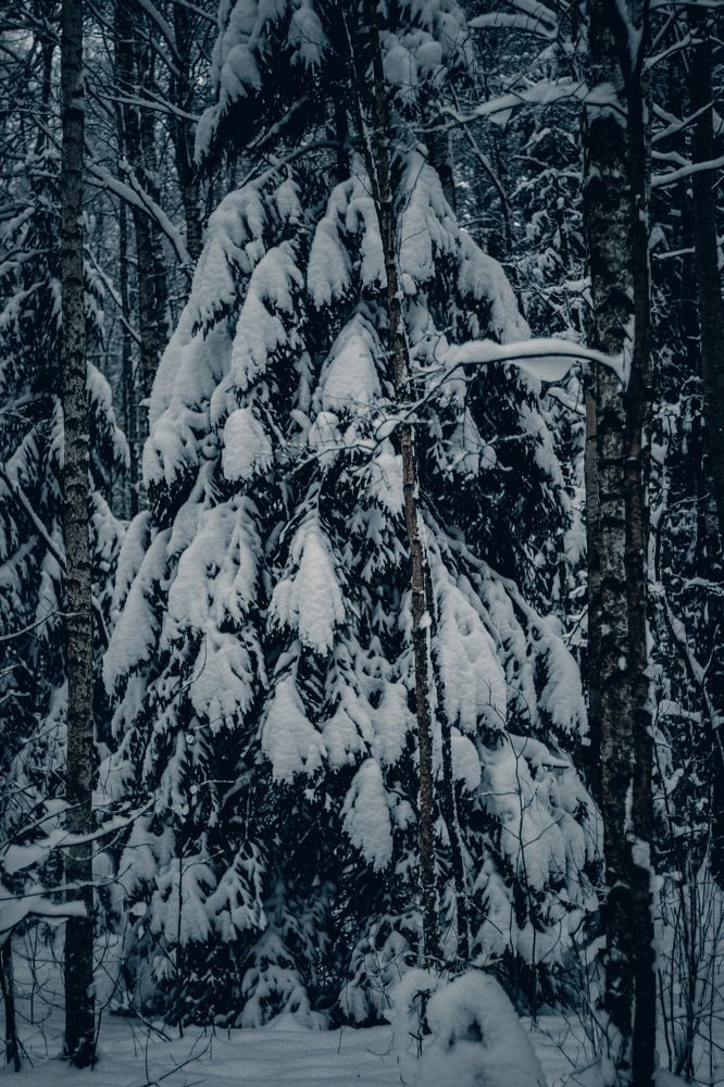 Photograph by Ilyas Kayumov