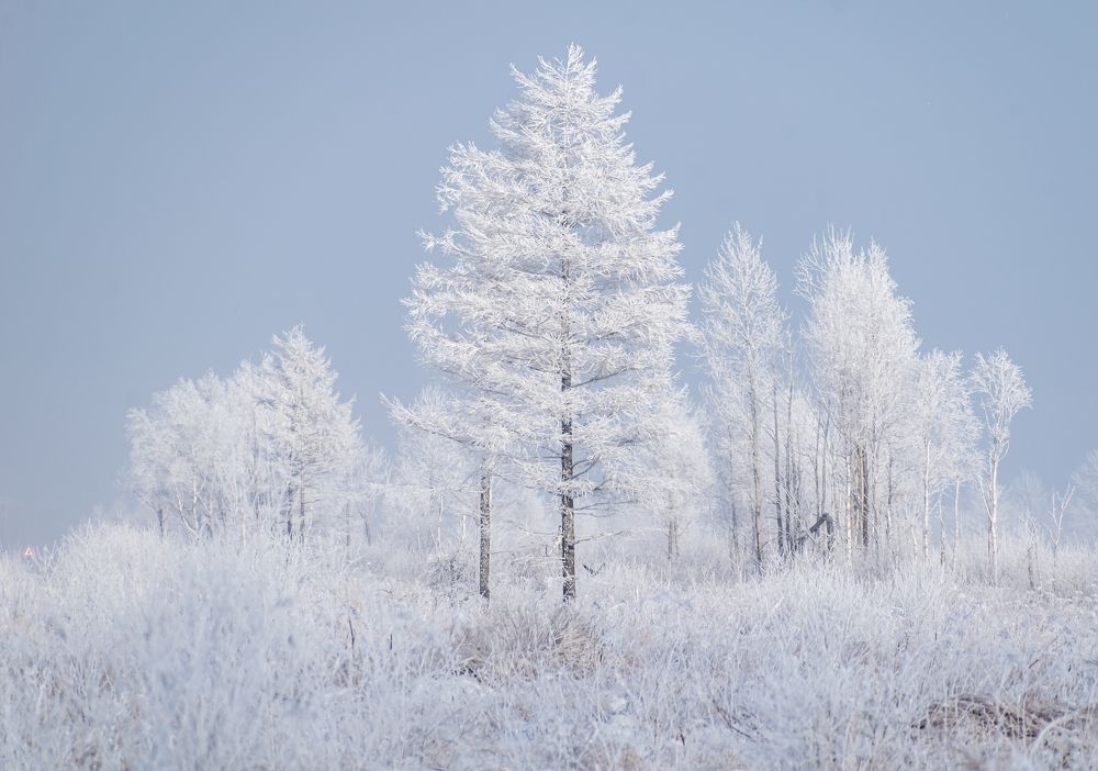 Photograph by Irina Luidinshina