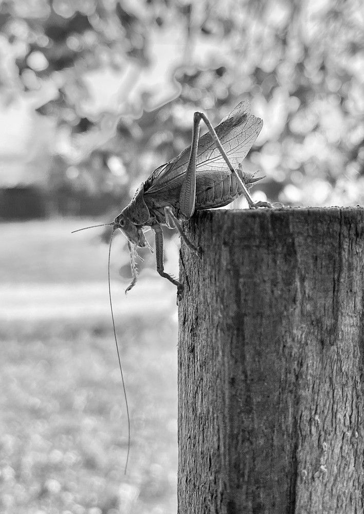 Фотография автора Рожнов Кирилл