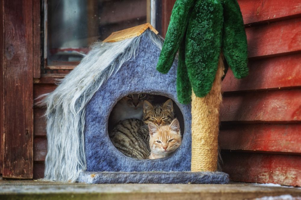 Photograph by Кулаков Юрий