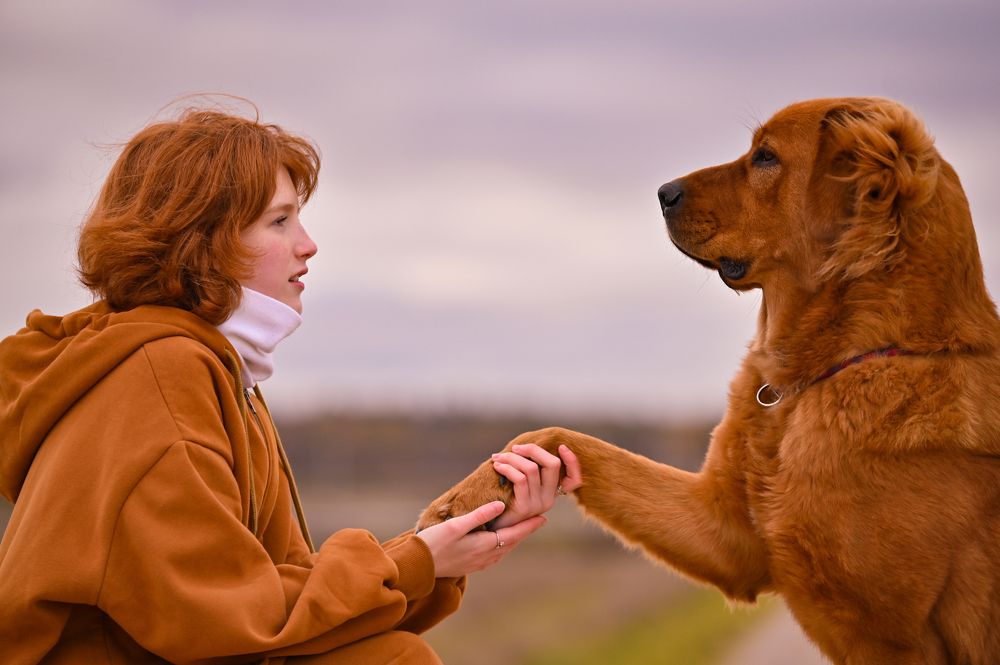 Photograph by Полина