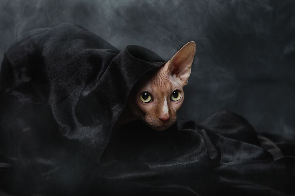 Photograph by Юлия Зубкова