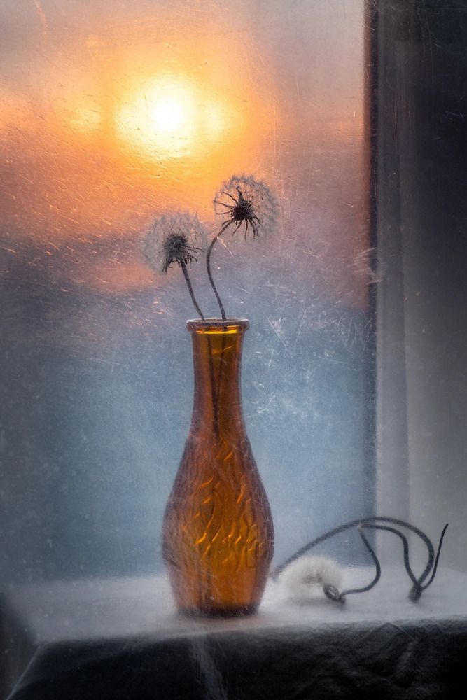 Photograph by Анна Иванова