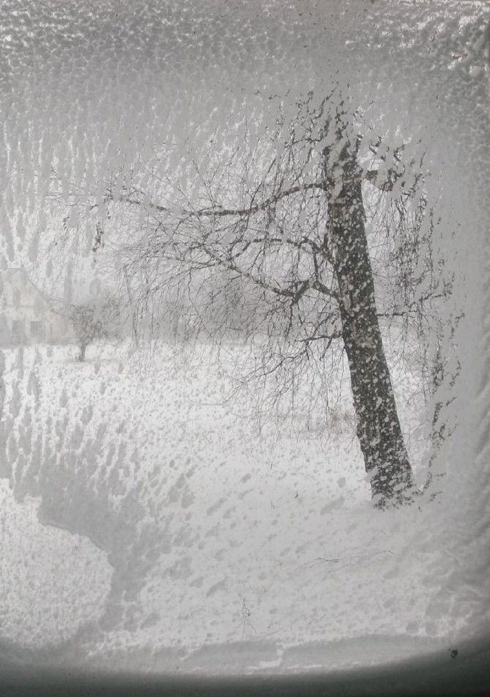 Фотография автора Ирина Лукьянчик