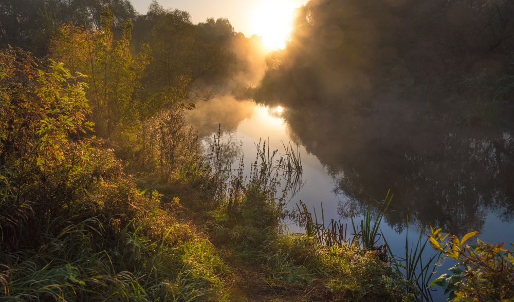 Photograph by Владимир Безбородов