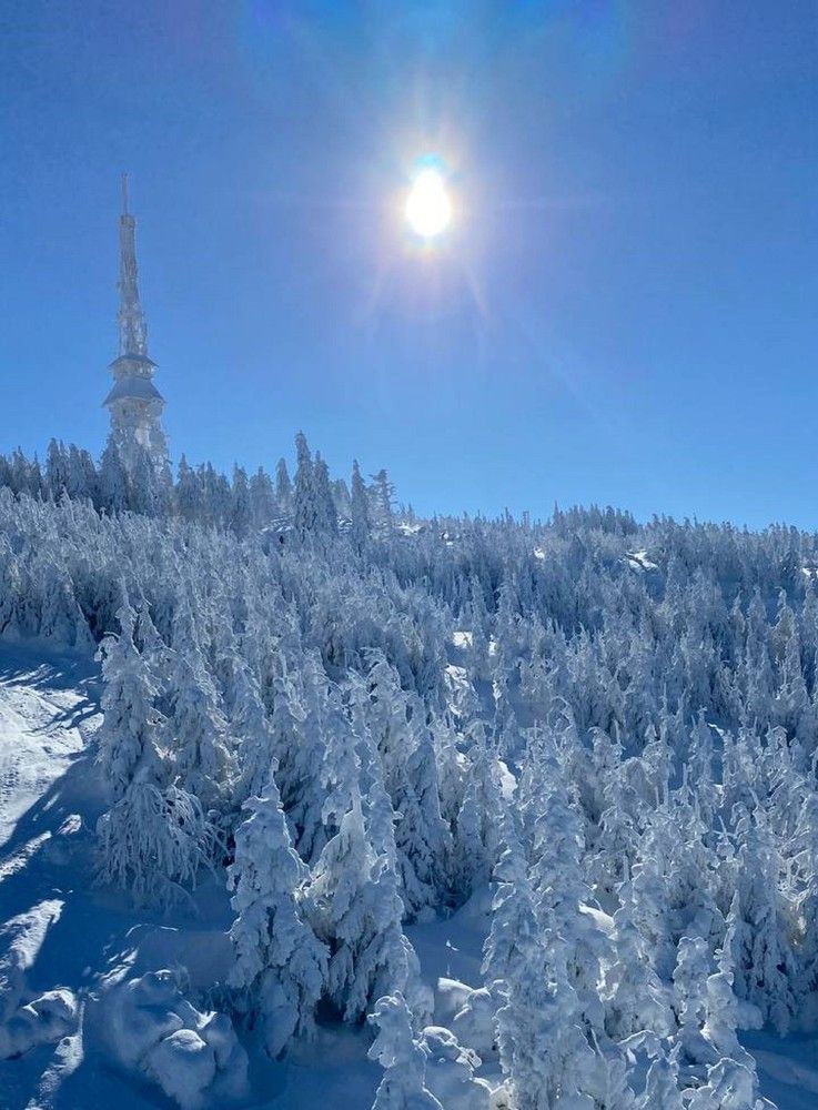 Фотография автора Ирина Лукьянчик