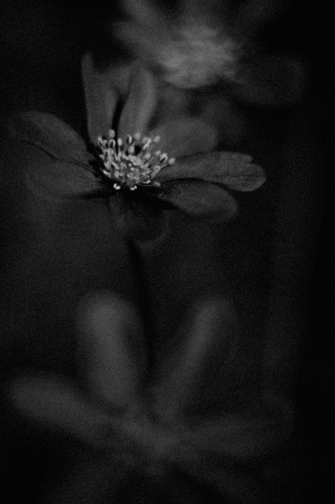 Photograph by Мария Никифорова