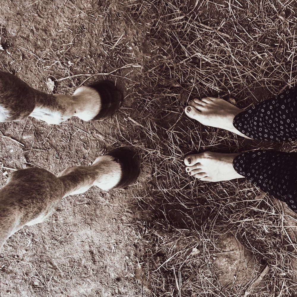 Photograph by Emilia Semeonova