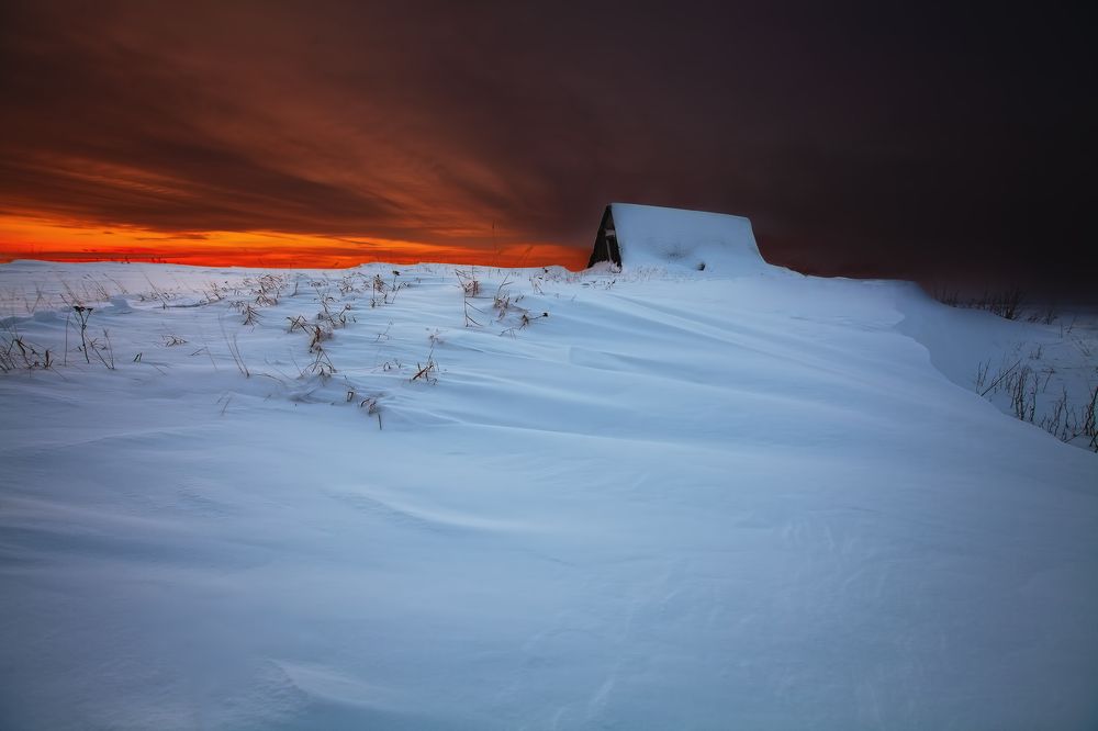 Photograph by Дмитрий Шавловский