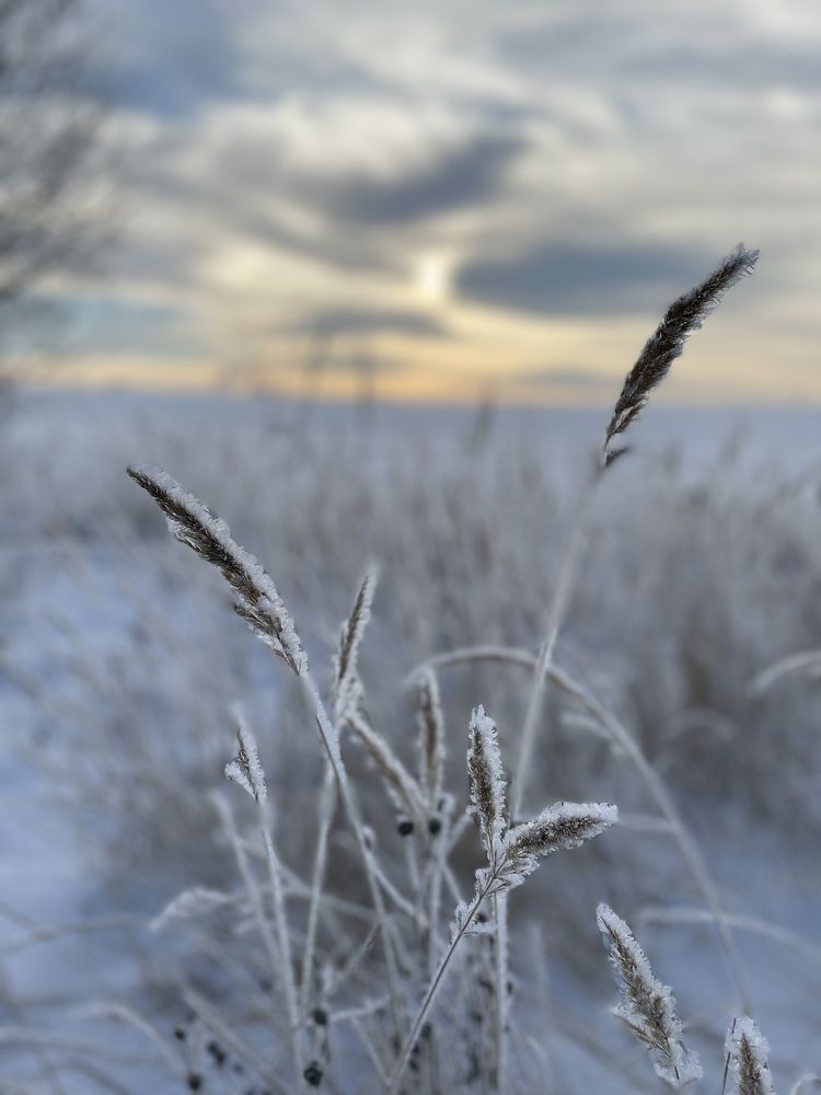 Photograph by Ирина Сбоева