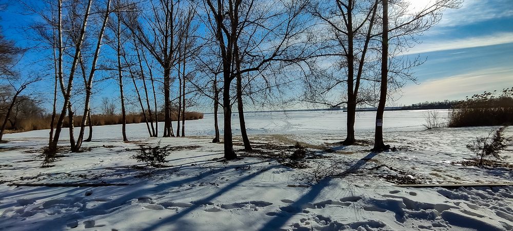 Photograph by Ирина Шибитова