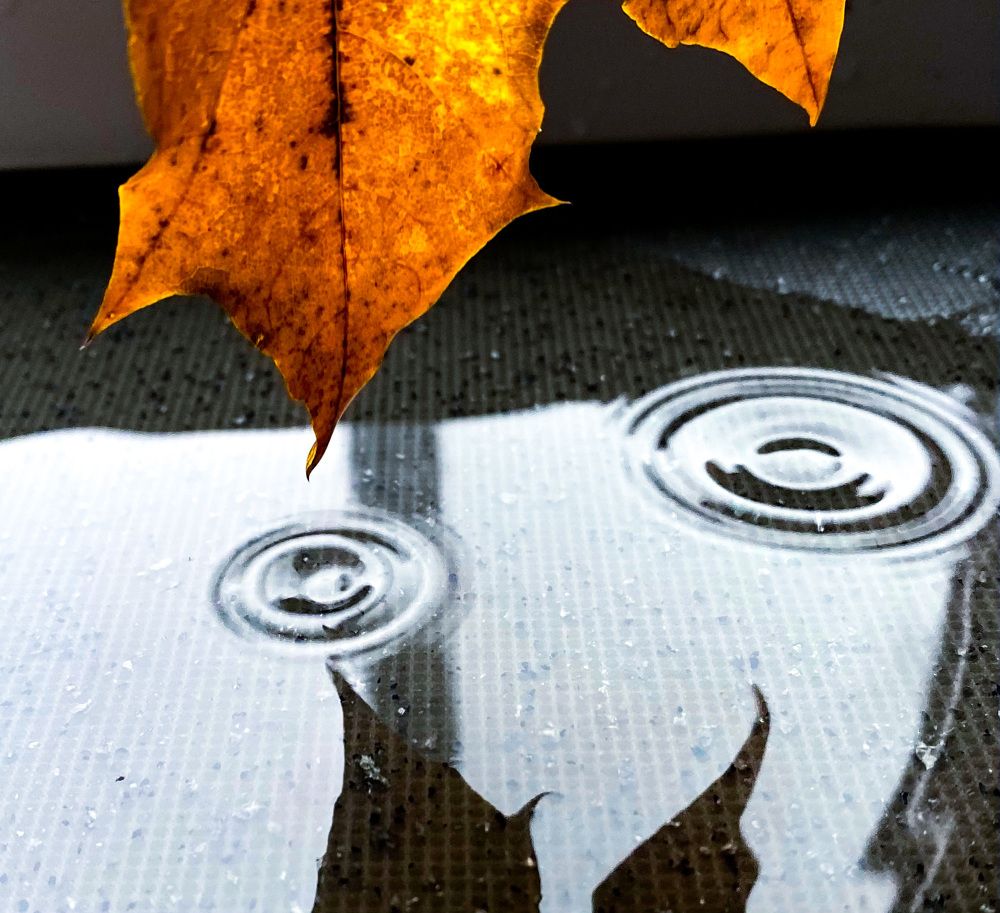 Photograph by Наталья Ситова