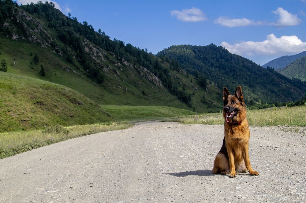 Photograph by Ольга Адольф