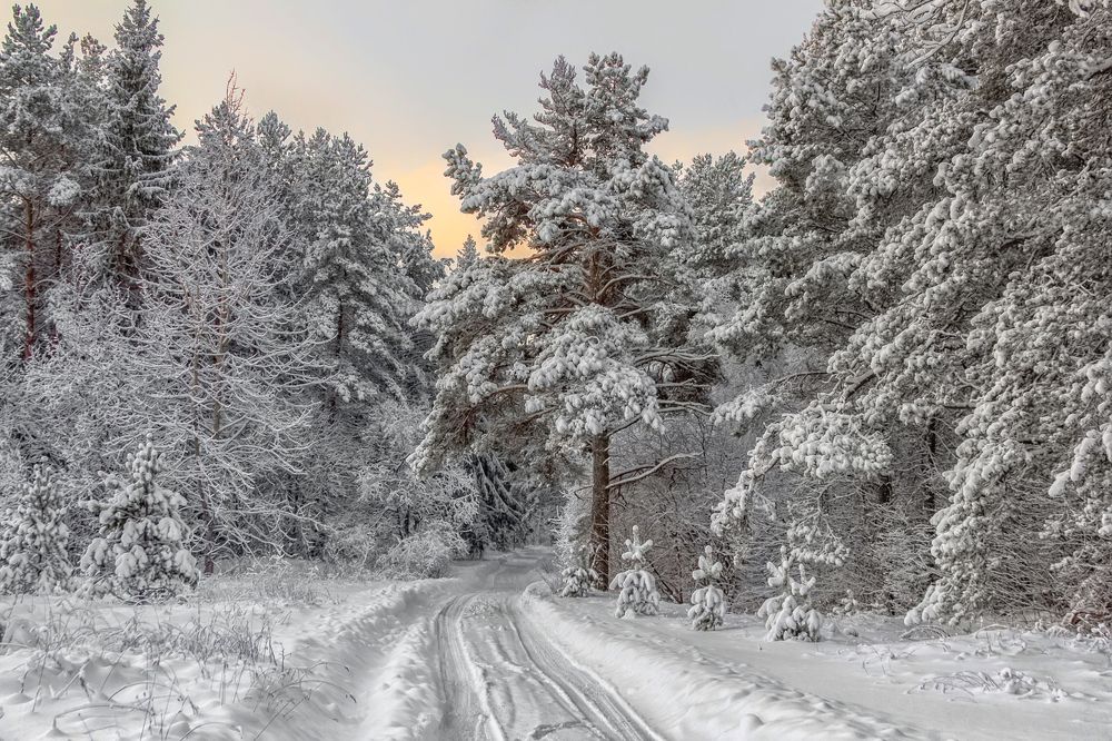 Photograph by Клясюк Галина