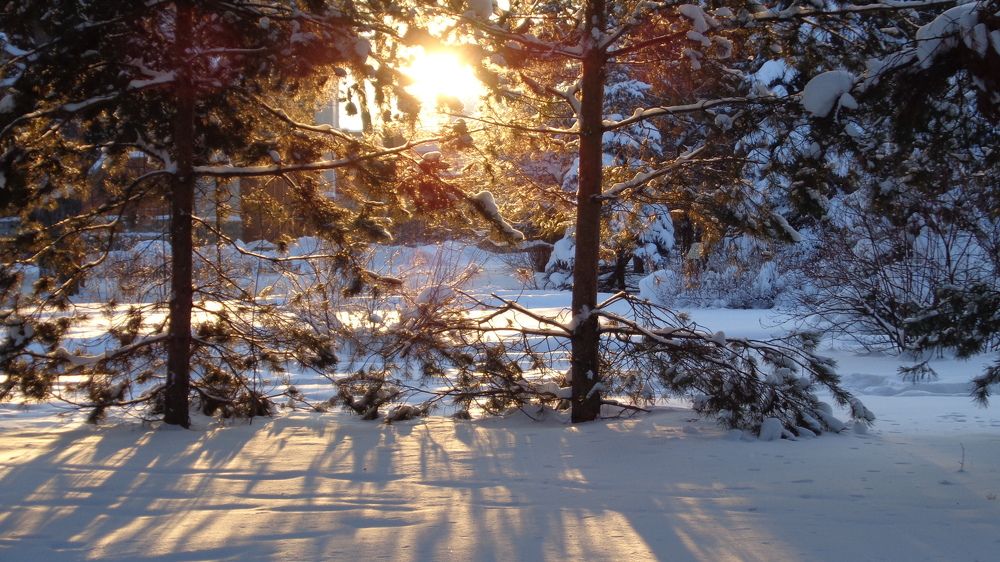 Photograph by Владислав Рубцов
