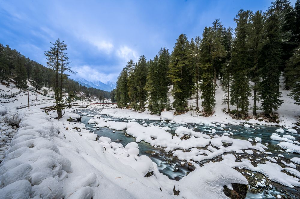 Фотография автора Afzal Khan