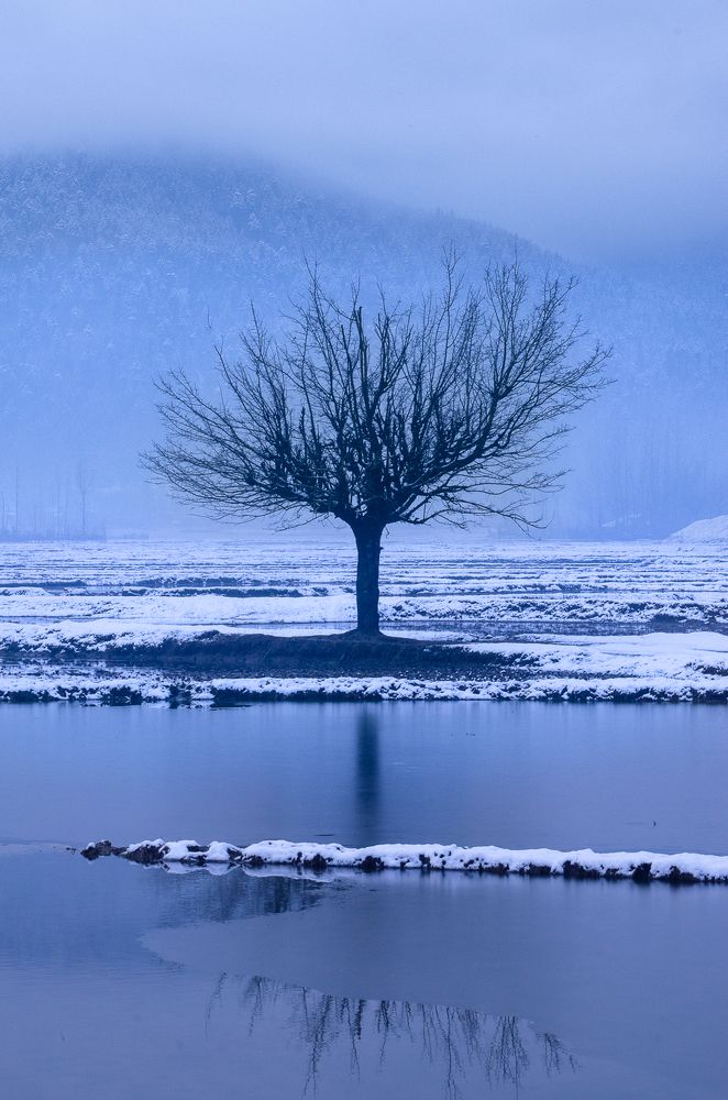 Фотография автора Afzal Khan