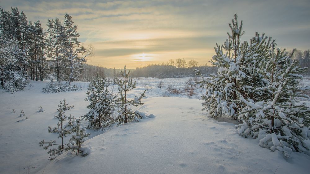 Photograph by Андреев Николай