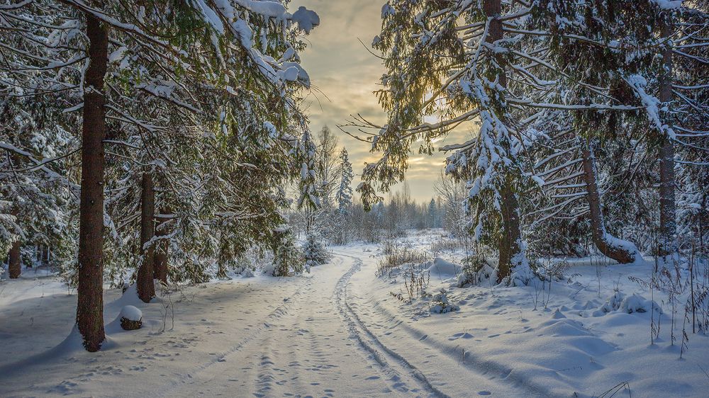 Photograph by Андреев Николай