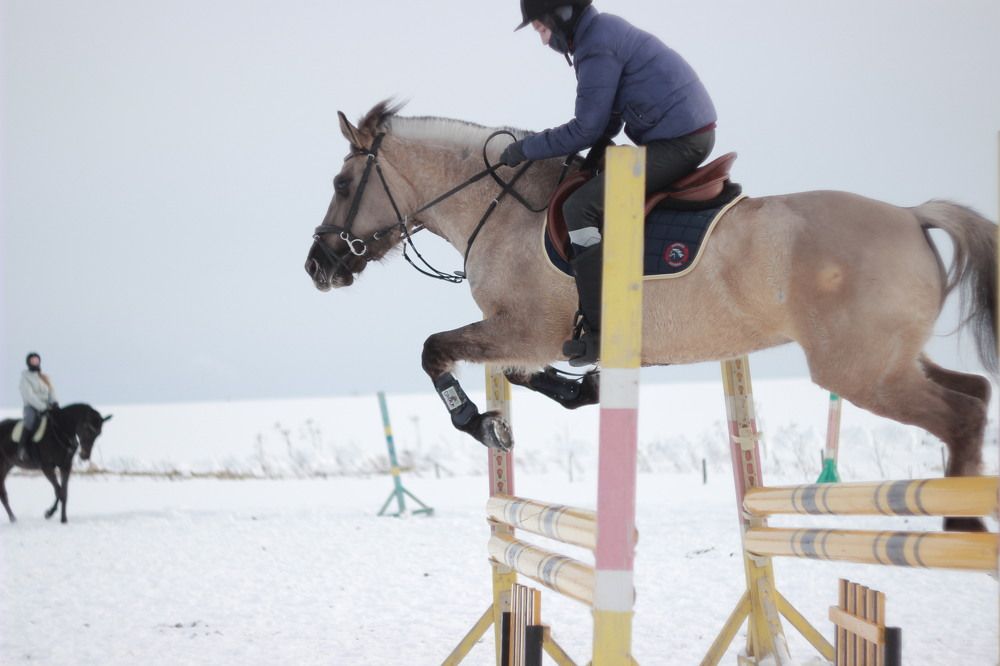 Фотография автора кузовлева мария анатольевна