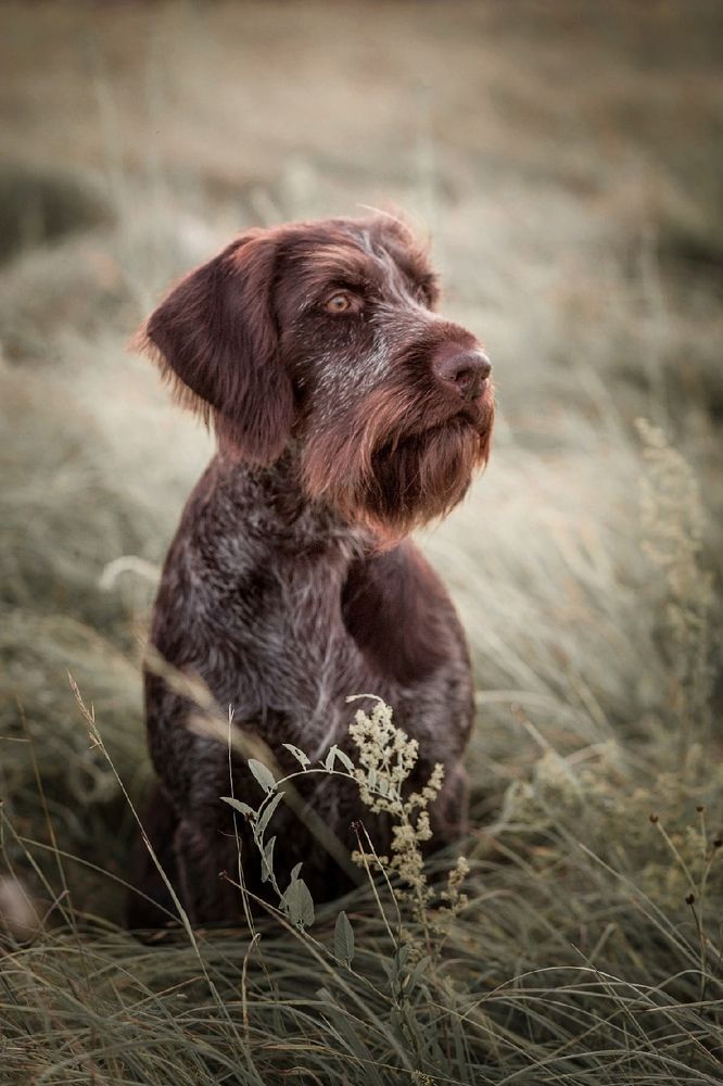 Photograph by Людмила Потапочкина