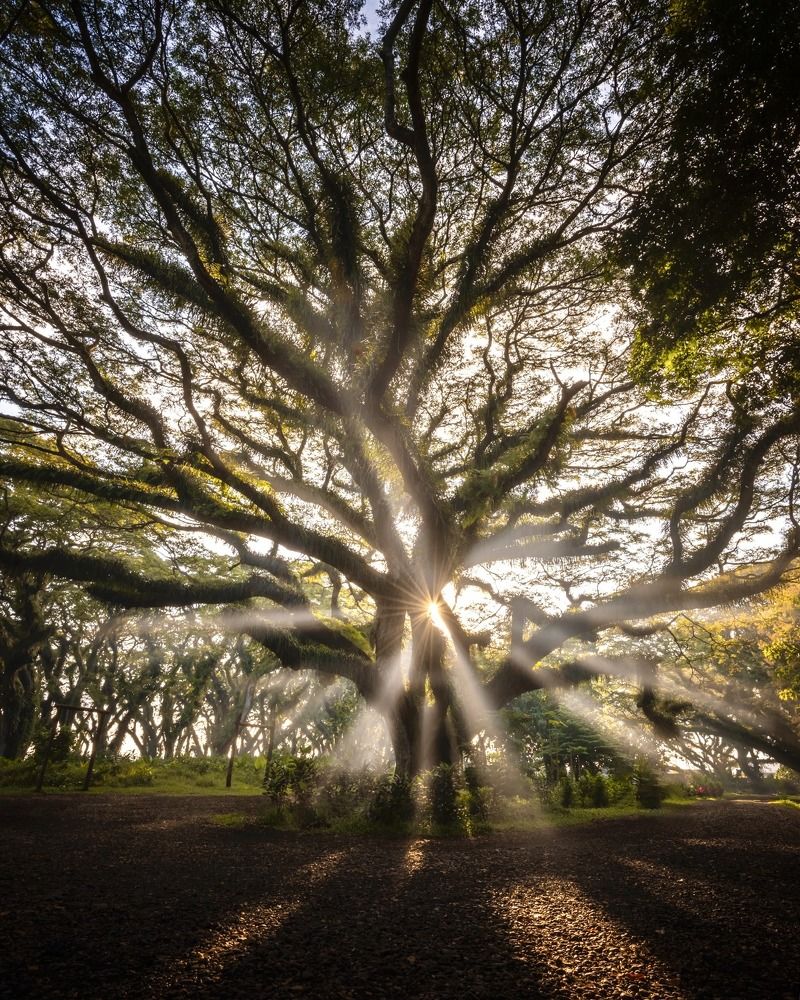 Фотография автора Wahid Hasyim