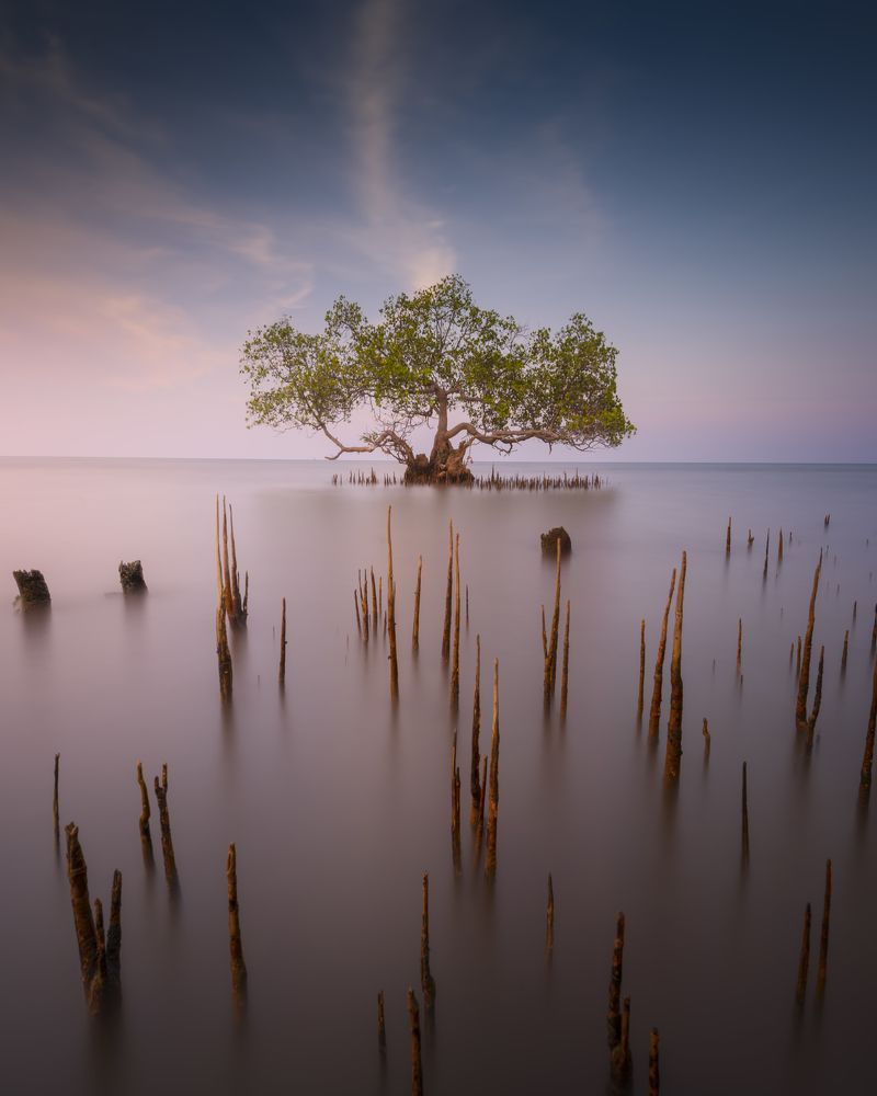 Фотография автора Wahid Hasyim