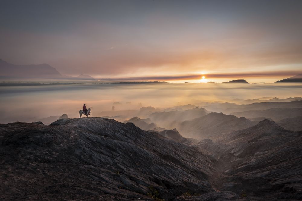 alone in the morning