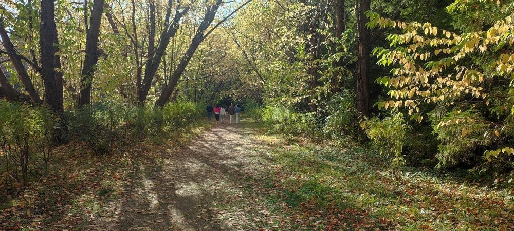 Осень в дендрарии