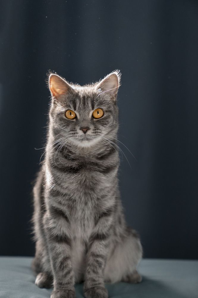 Photograph by Светлана Пузикова