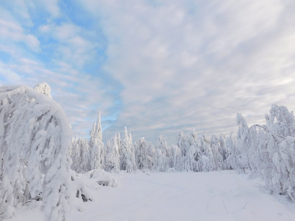 Photograph by Чкареули Светлана