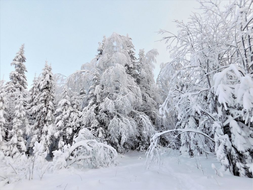 Photograph by Чкареули Светлана