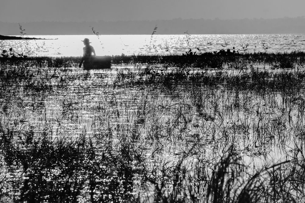 Photograph by khai nguyen tuan