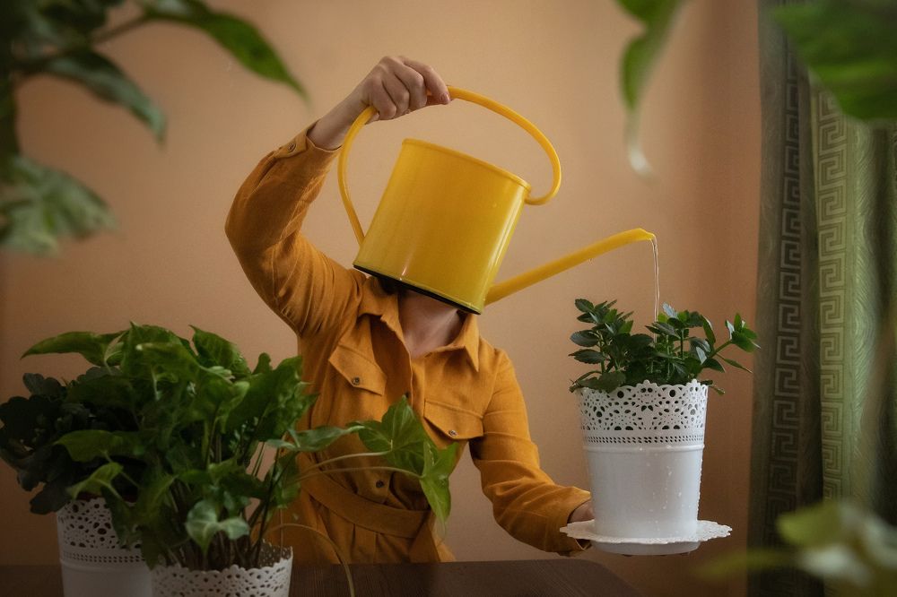 Photograph by Irina Kartoshova