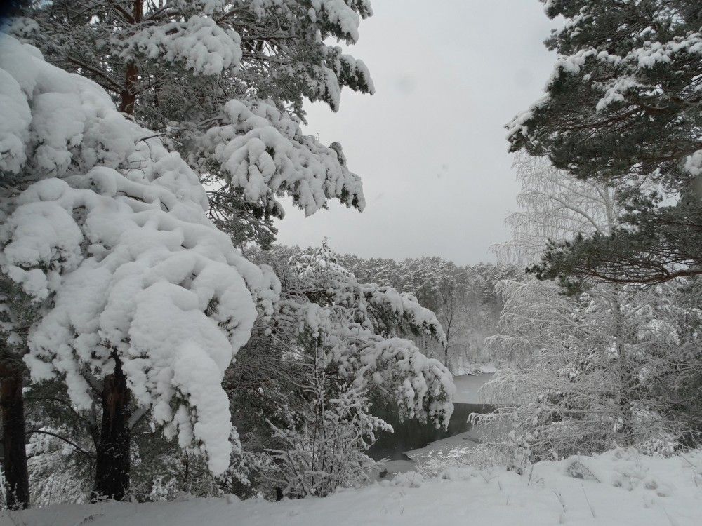 Photograph by Александр Подгорный