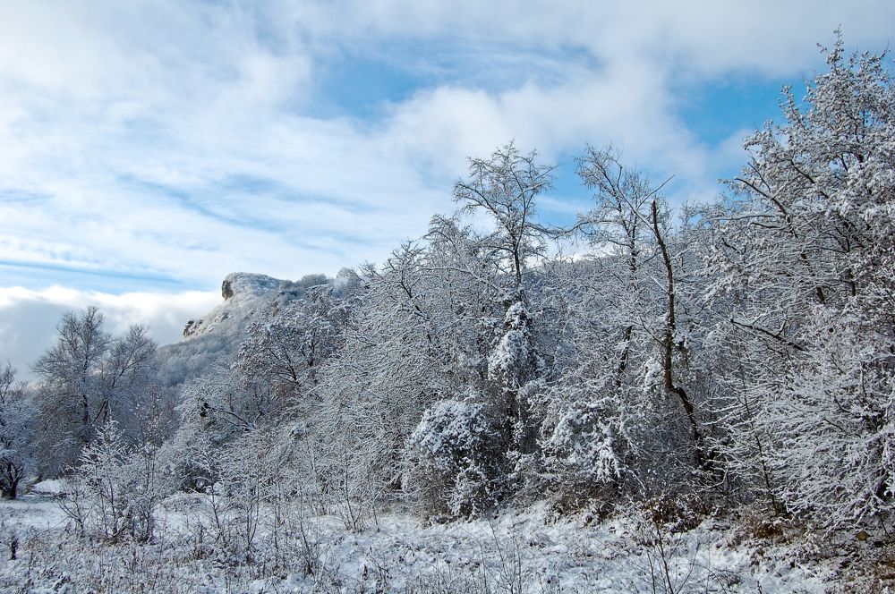 Photograph by Илья Ушак