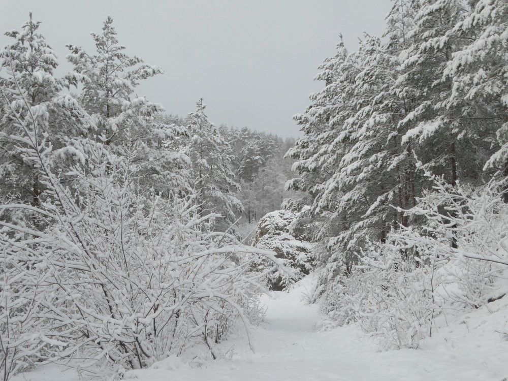 Photograph by Александр Подгорный