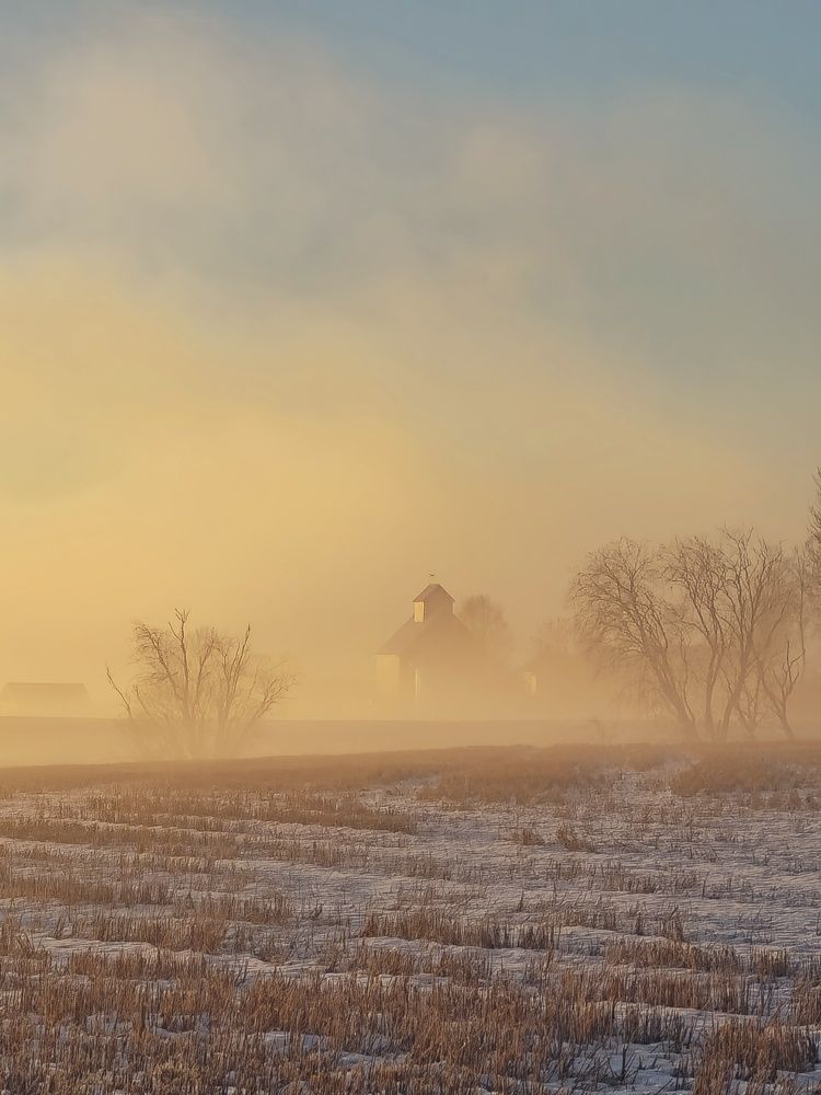 Фотография автора Alina Filimonova