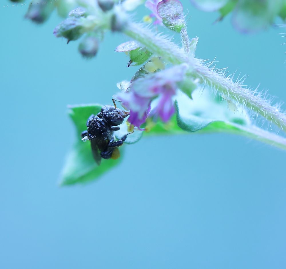 Photograph by Mayon Devkalana