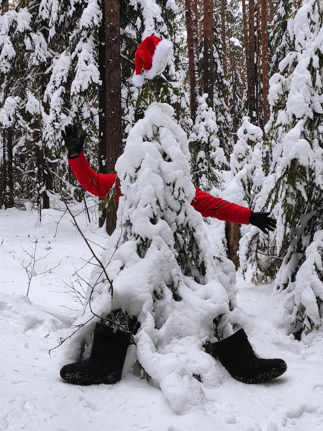 Photo #10007665