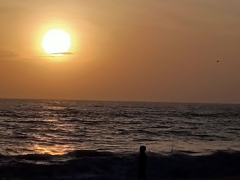 Photo #10007766