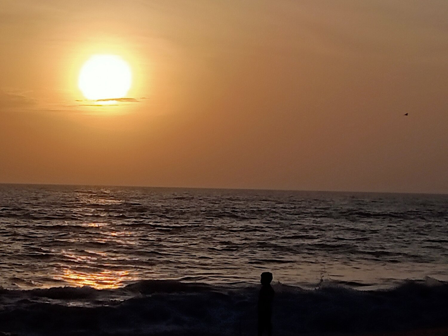 Photo #10007766