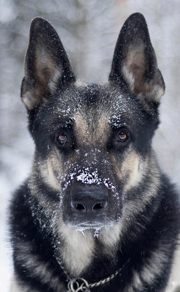 Photograph by Татьяна