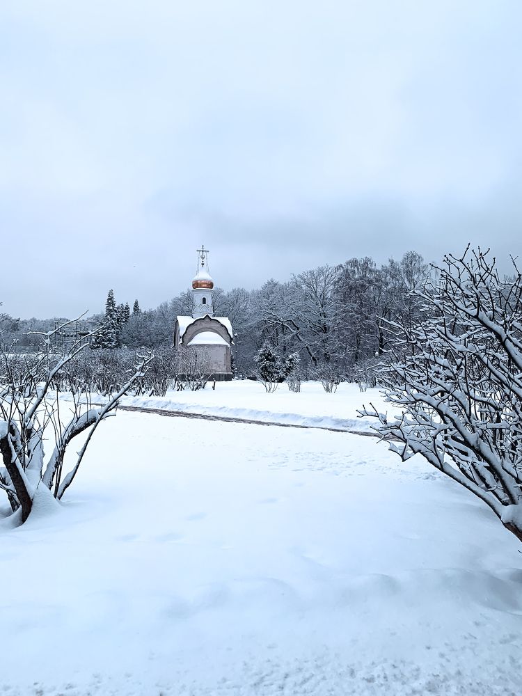Photograph by Павел Каштанкин