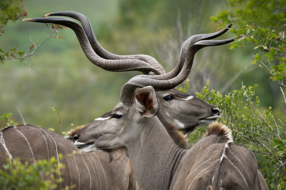 Photograph by Николай Мозгунов