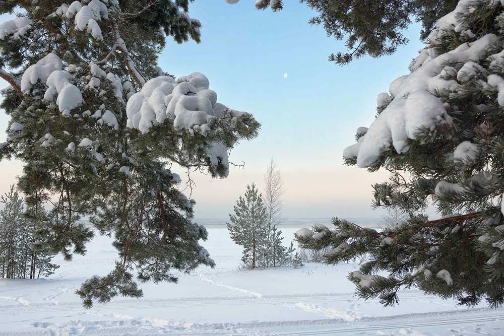 Photograph by Михайлова Елена