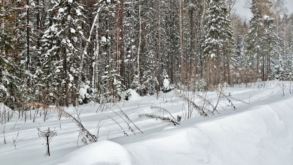 Photograph by Сергей Григорьев